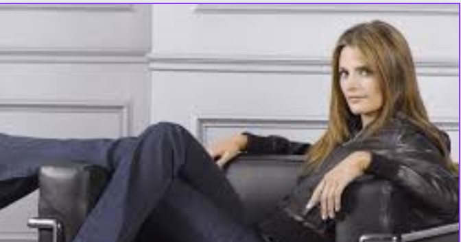 Stana Katic Body Measurements, Biography, Net Worth & Husband