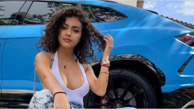 Denia Petterssen Onlyfans Photo, Instagram,Height, Bra Size, Dating & Net Worth