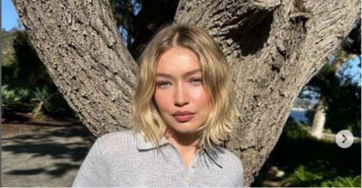 Gigi Hadid Age, Height, Instagram, Net Worth, Husband & Daughter